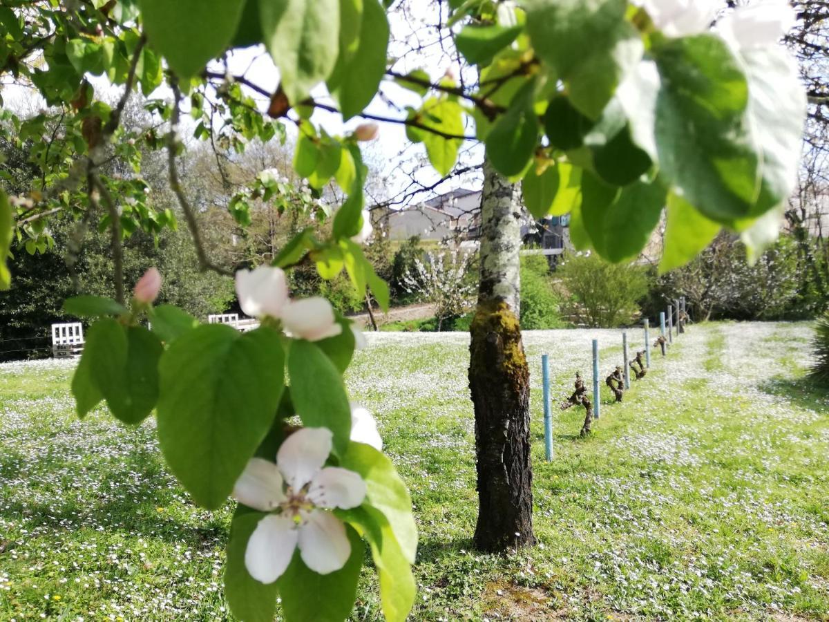 La Verrerie Gaillac Dış mekan fotoğraf