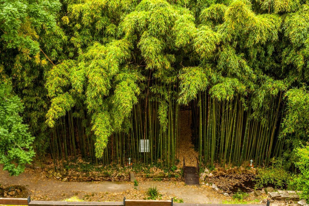 La Verrerie Gaillac Dış mekan fotoğraf